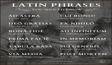 A Profile Of A Latin Beauty