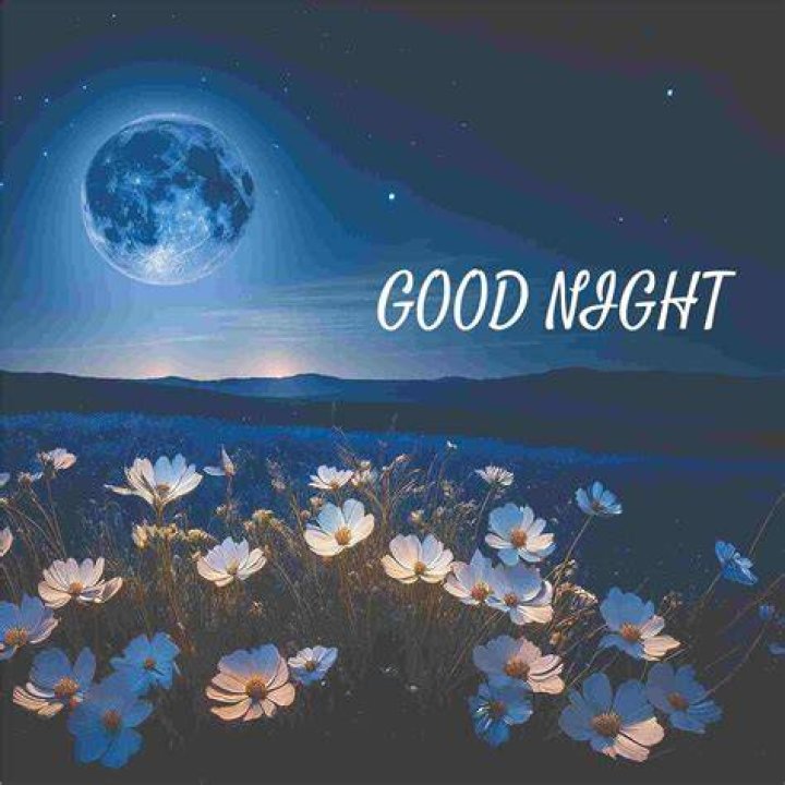[100+] Beautiful Good Night Images, Photos & Pictures 2021 Funky Life