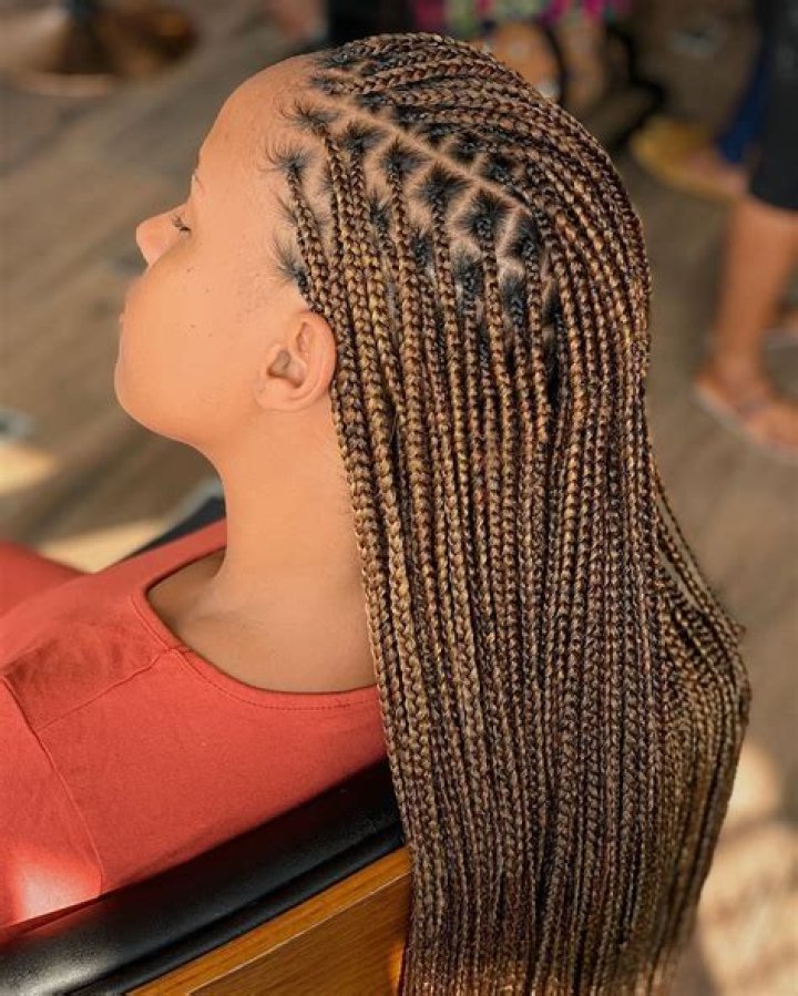 15 Stylish Knotless Box Braids With Color Ideas The FSHN