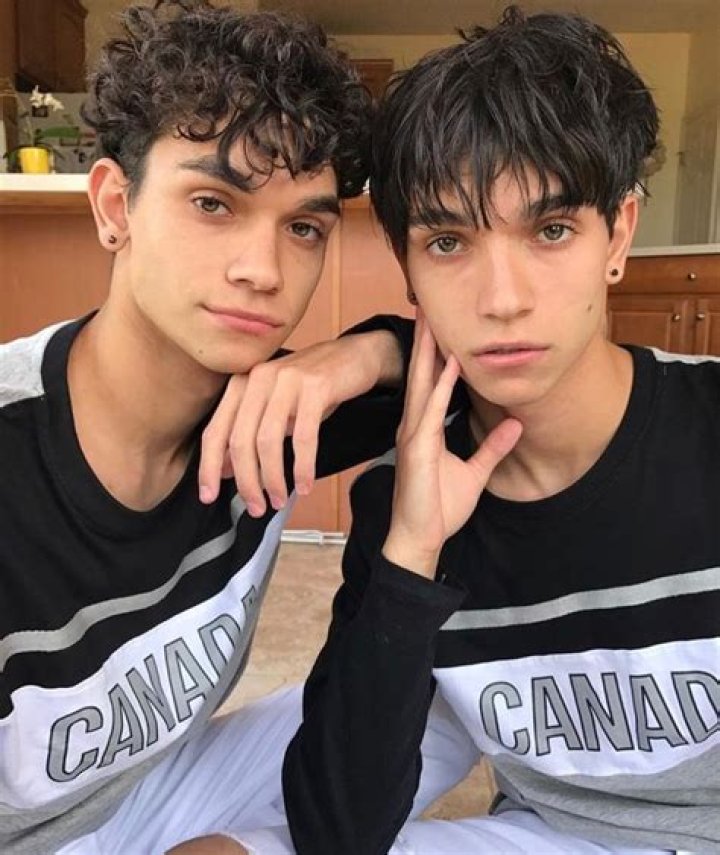 172 best The Dobre Twins images on Pinterest Gemini, Twin and Twins