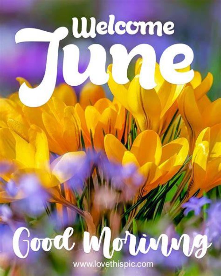 28 June 2019 Good Morning 早上好！ Friday quotes funny, Its friday quotes