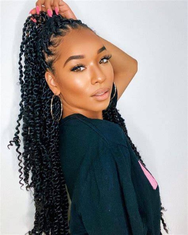 42+ Passion Twists, Spring Twist, and Braided Hairstyles Hello