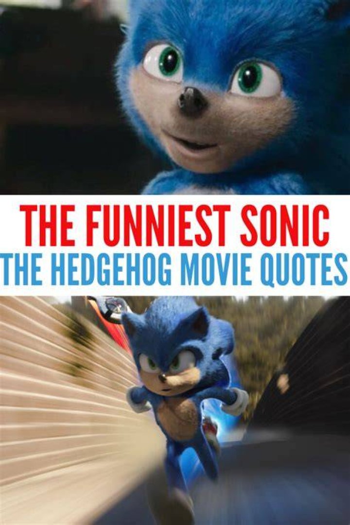 45 Hilarious Sonic the Hedgehog Movie Quotes to Keep You Laughing