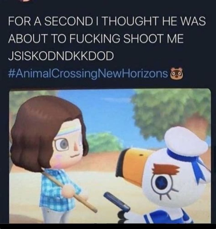 50+ Animal Crossing Memes only true fans will relate to