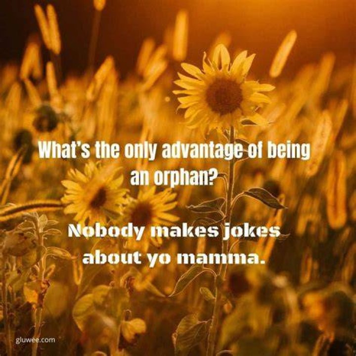 60 Orphan Jokes Which are Unusual and Full of Content Gluwee