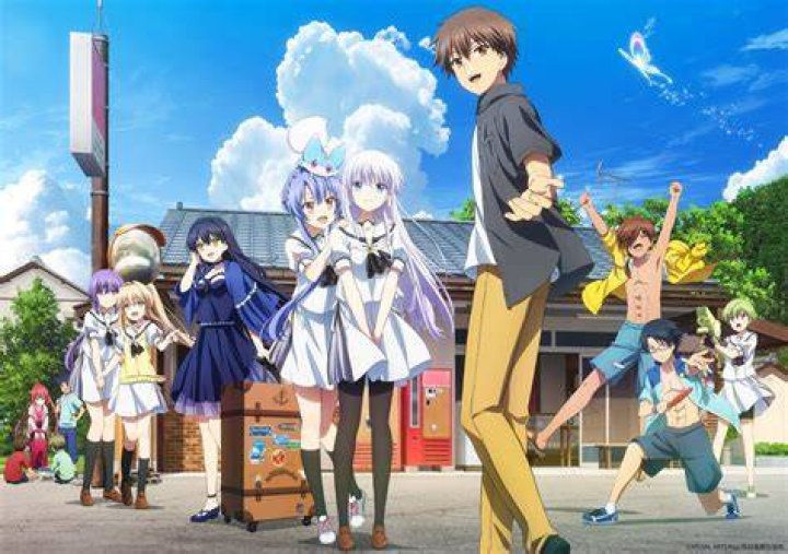 A Group of Children´s Opinion about the Anime