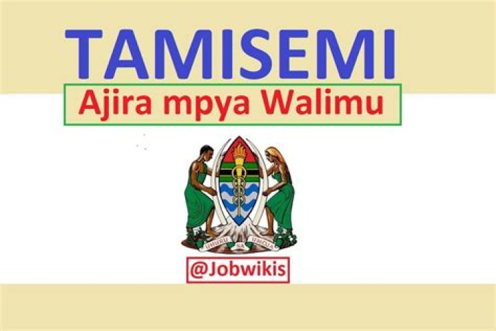 Ajira Tamisemi Go Tz 2023/2024 Registration ( Mfumo Wa Maombi Ya Ajira)