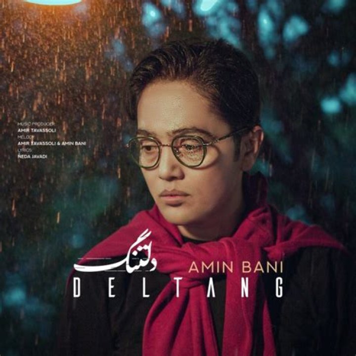 Amin Bani's Biography And Facts'