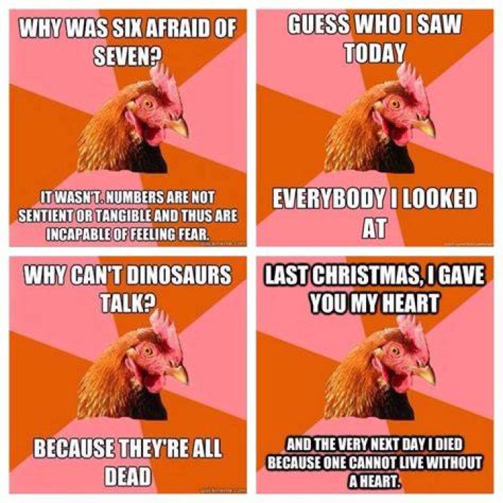 antijokechicken Anti jokes, Corny jokes, Grandpa jokes