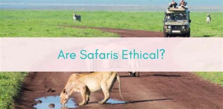 Are Safaris Ethical? 8 Things to Know