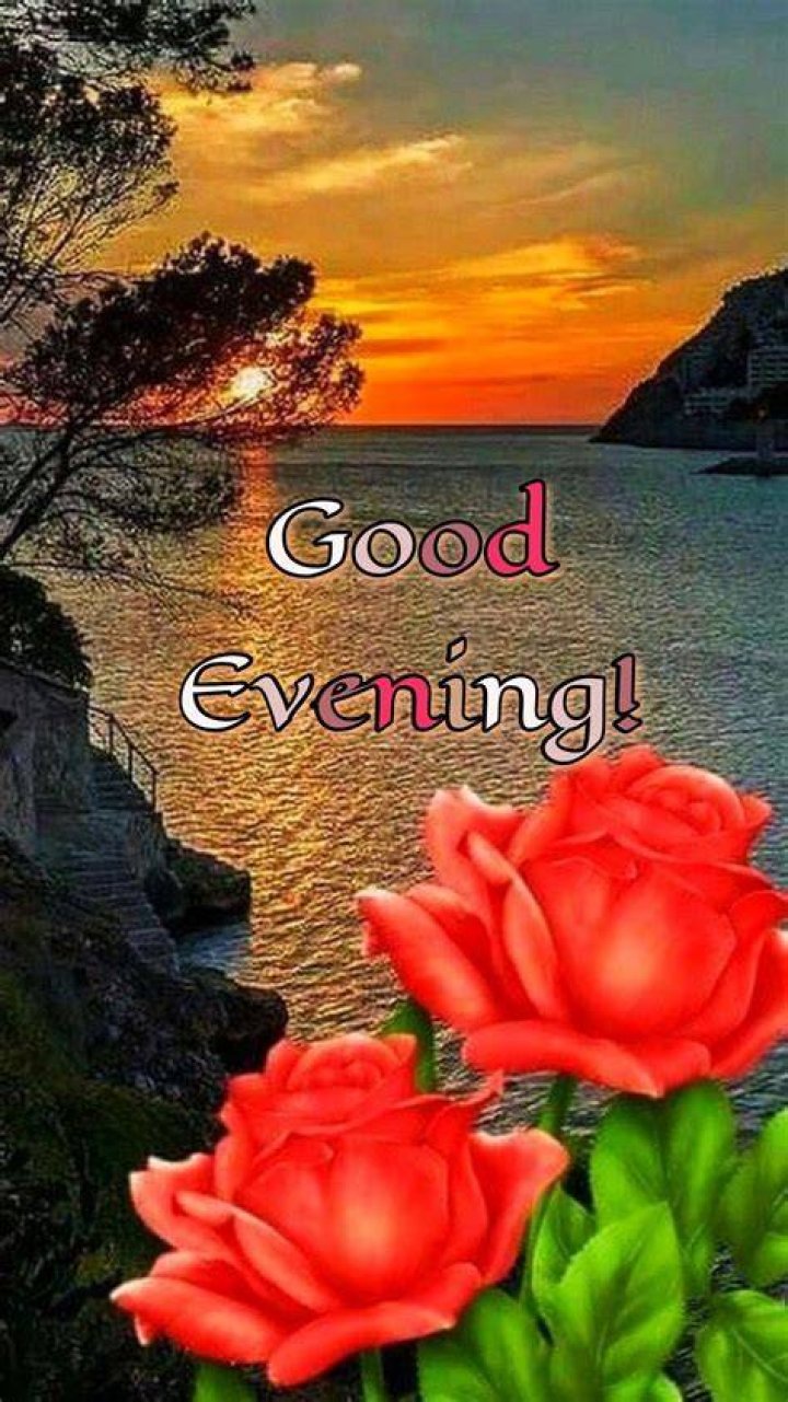 Beautiful Good Evening Images, Photos & Pictures Ideas 2021
