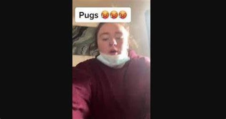 Bella Langford Pug Video Twitter Link: Where To Find On Reddit, Tiktok, Instagram, And Youtube!