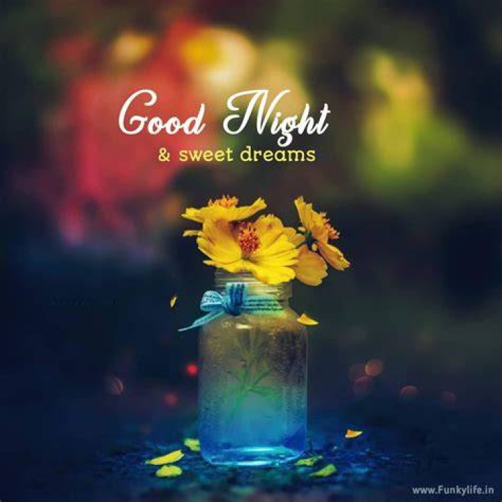 Best Good Night Wishes Good Night Wishes For Lovers