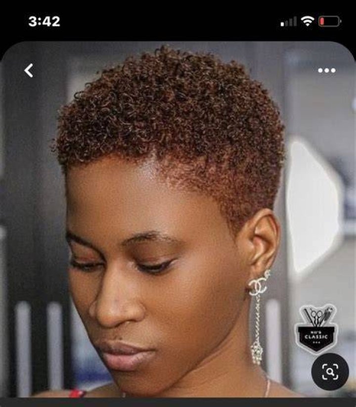 Black Women Short Afro Hairstyles