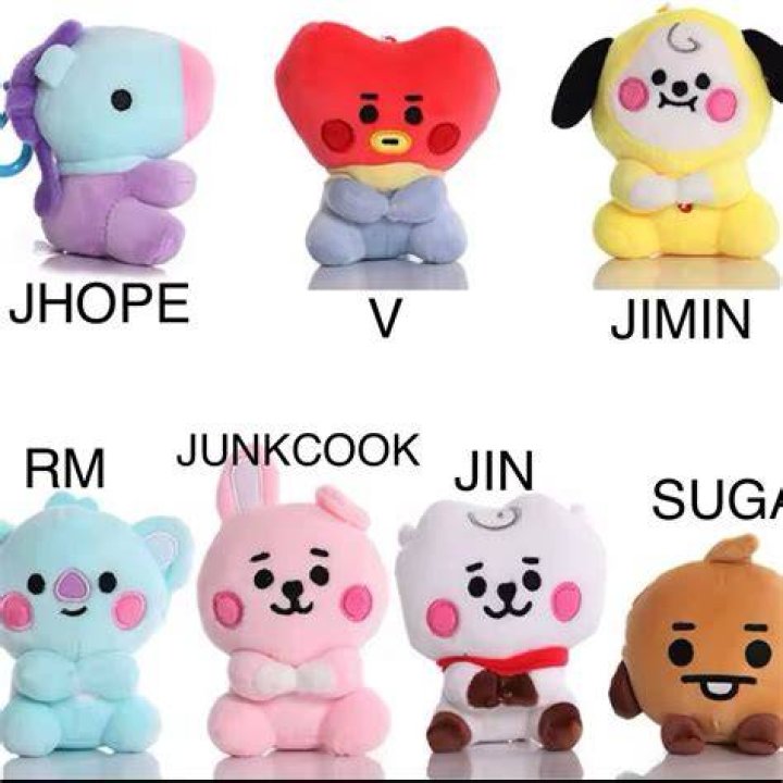 Bts Plushies Names ubicaciondepersonas.cdmx.gob.mx