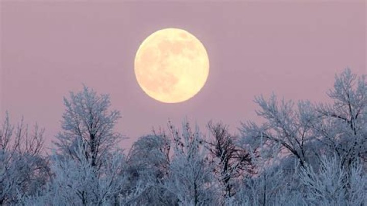 "Cold December’S" | Buy, Play and Listen
