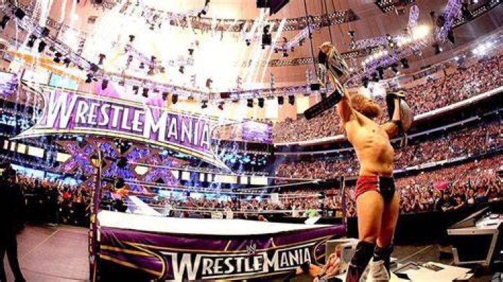 Daniel Bryan At WrestleMania 30 