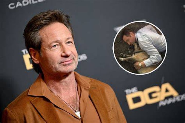 David Duchovny On Baseball And How 'XFiles' Made Him A Better Writer