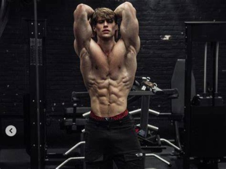 David Laid's Workout Routine Dr Workout