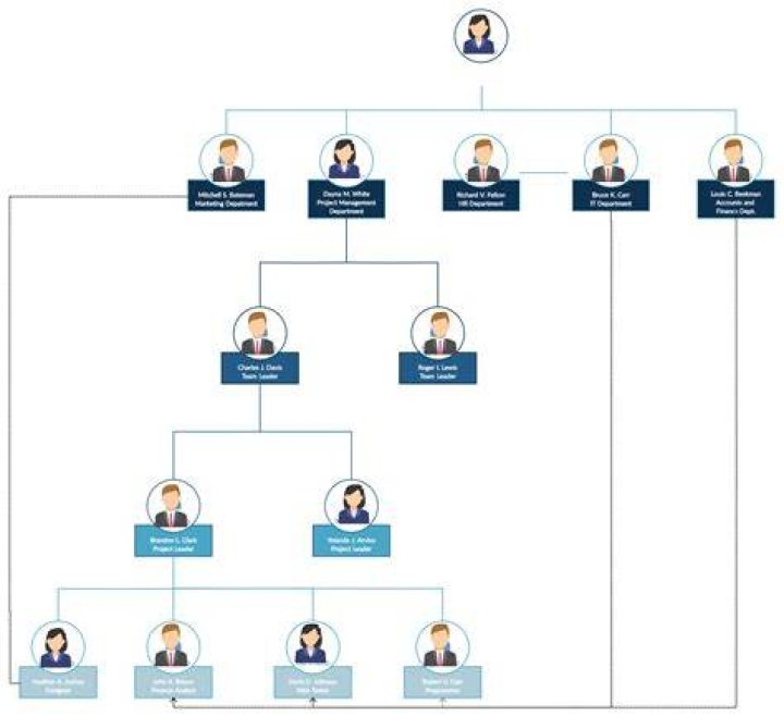 diagram of ciper org structure