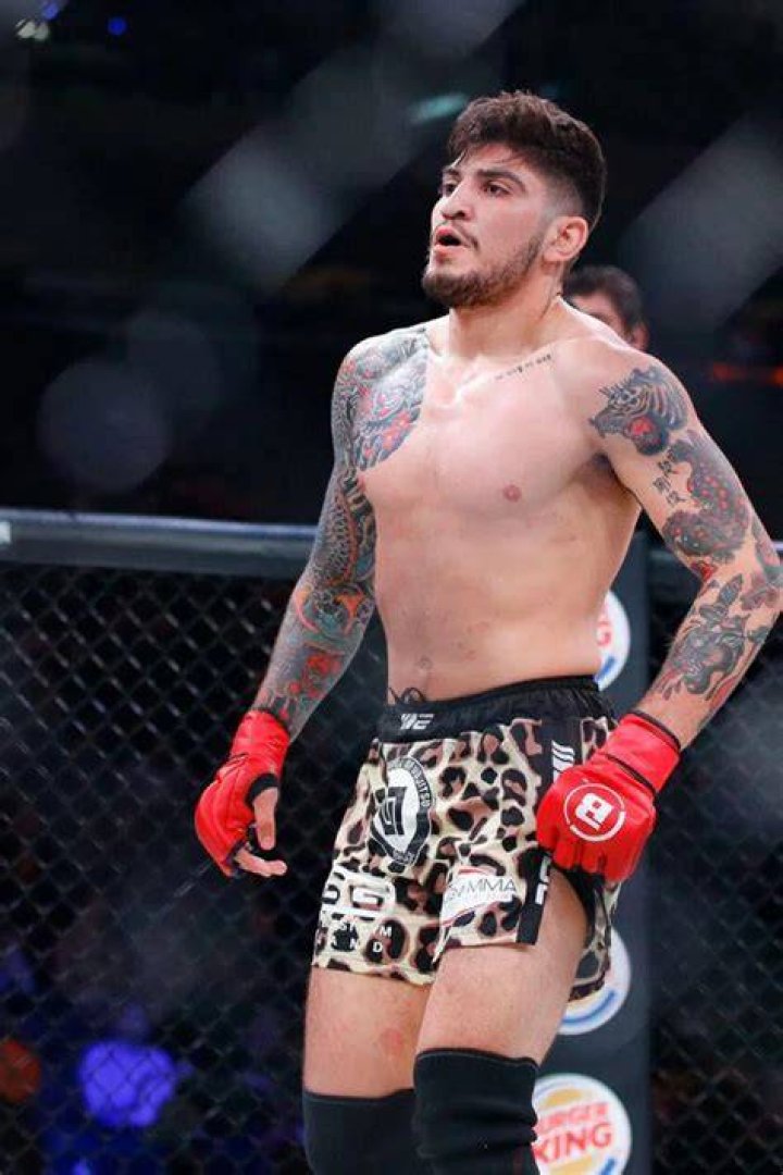 Dillon Danis Net Worth 2023 Height, Girlfriend, Bio