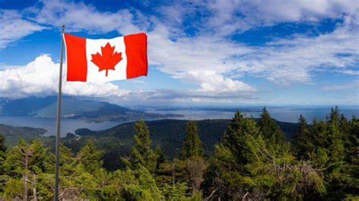 Discover more about Canada's national football team, players, coach, FIFA world rankings, World Cup 2022, trophies