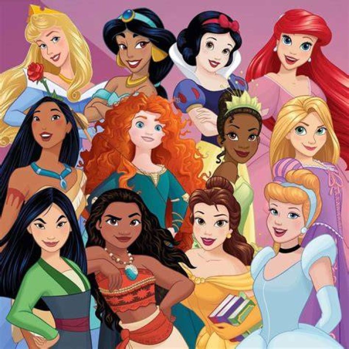 Disney Princess Photo Disney Princess The Disney Princesses Disney