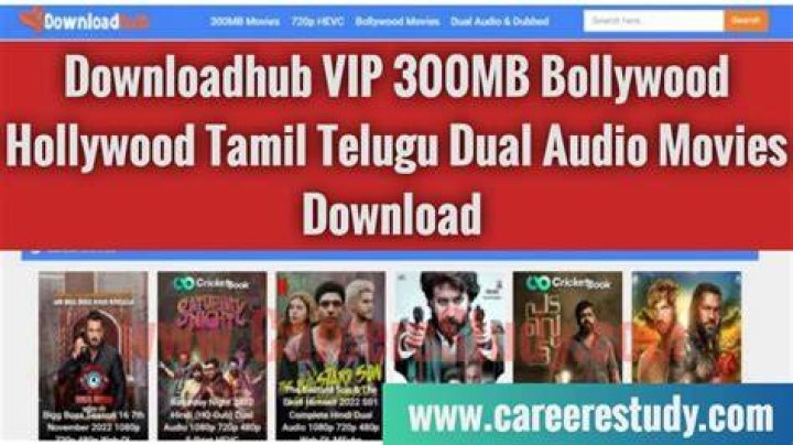 Downloadhub 300MB Hollywood Bollywood Tamil Telugu Kannada Dual Audio