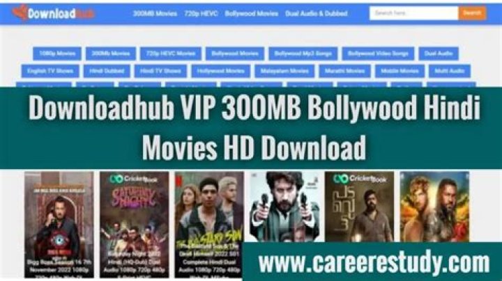 DownloadHub Dual Audio Bollywood Movies Download HubsAdda