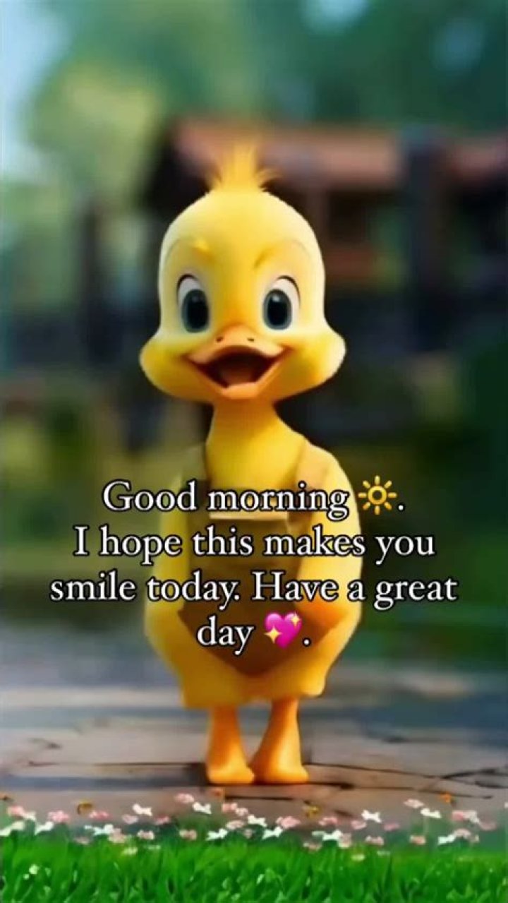 Duck memes on the internet grabbed for your laughter