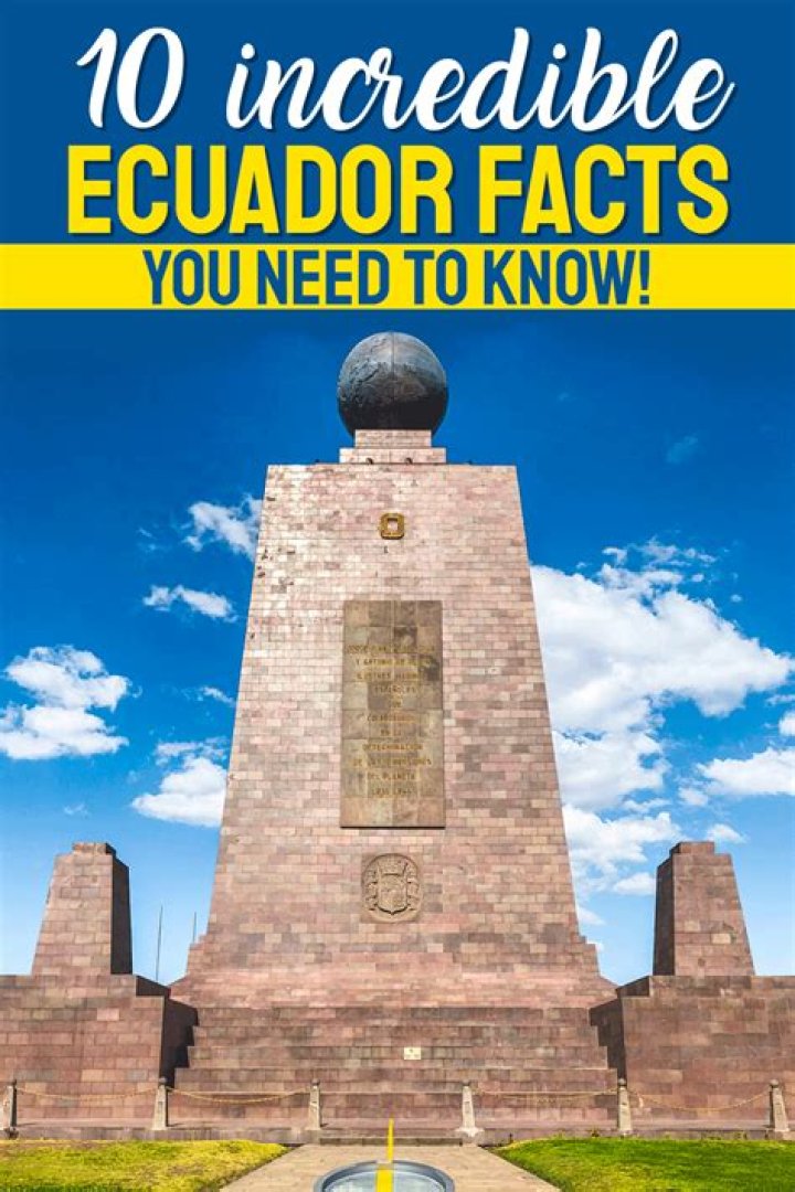 Fascinating facts about Ecuador's national football team players, coach, FIFA world rankings, World cup 2022, trophies