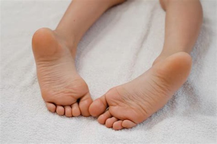 Feet
