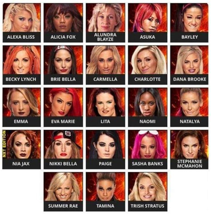 Female wrestlers list: A list of 30 of the most famous female wrestlers in the world currently