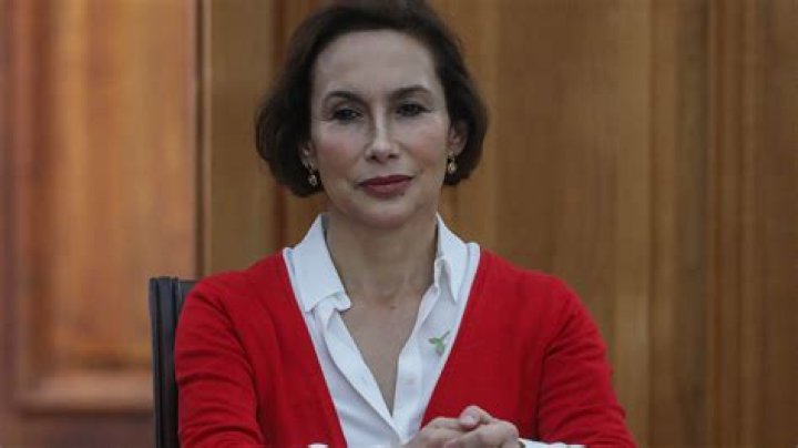 Flavia Torrealba Wikipedia And Edad: How Old Is Politician?