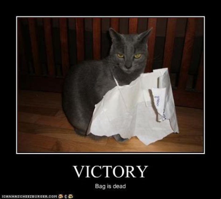 Funny Pictures Gallery Victory quotes, victory quotes and sayings
