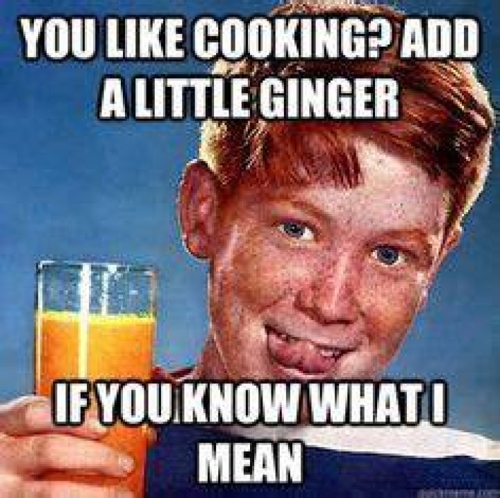 Ginger Pick Up Lines 9GAG