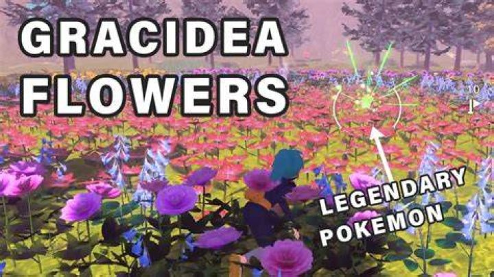 Glacidea / Gracidea flower origin