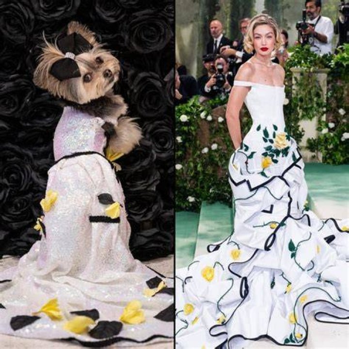 Glam Dogs Recreate the 2024 Met Gala's Most Iconic Looks for the Pet
