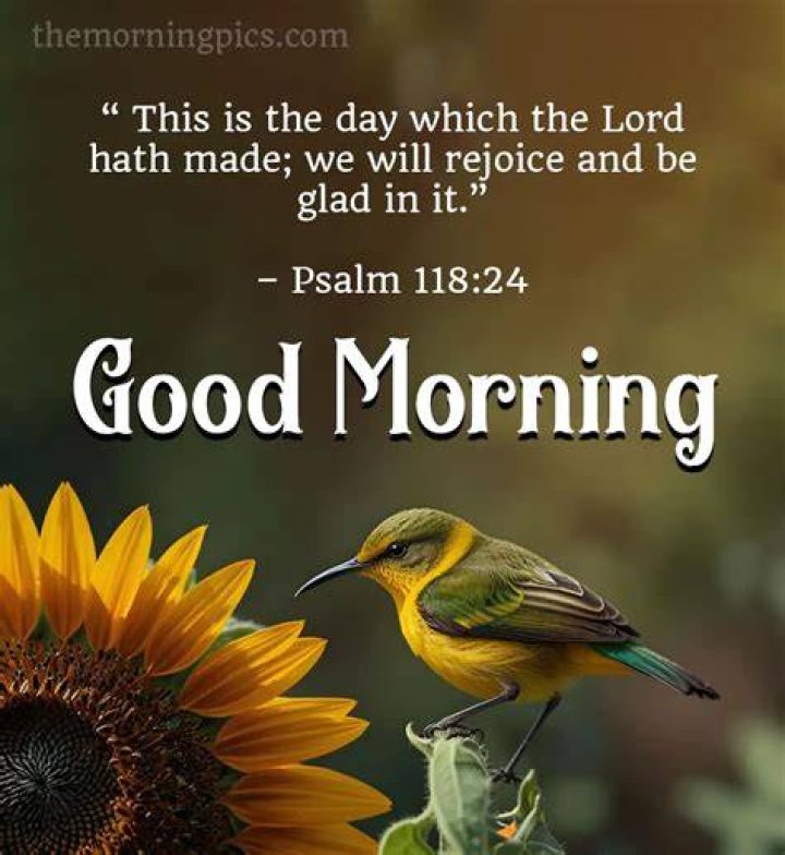 Good Morning Bible Verses (2024)