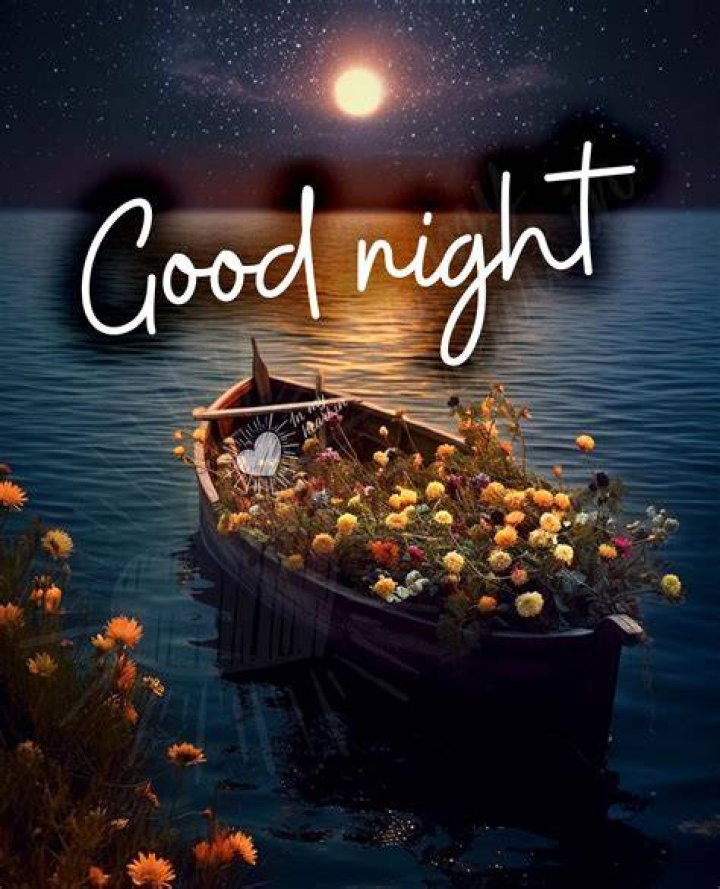 Good Night Good Night Pictures