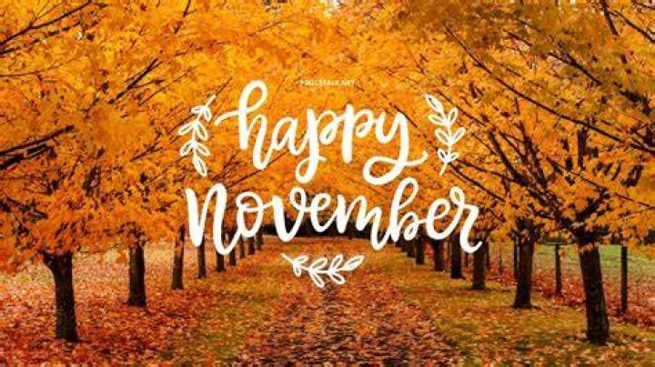 Happy November Pictures, Photos, and Images for Facebook, Tumblr
