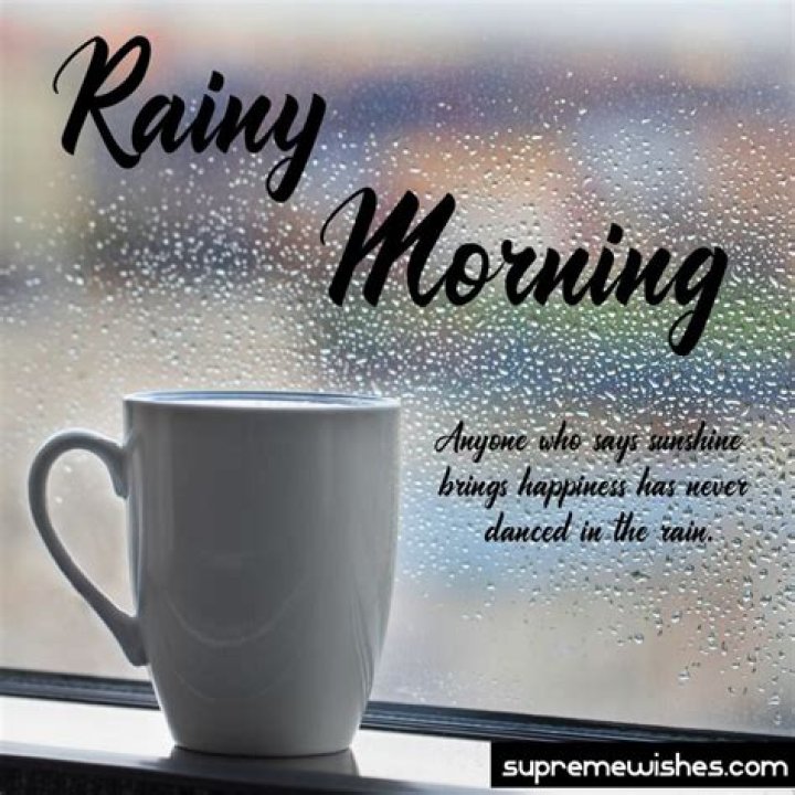 Happy Rainy Morning Good Morning Wishes On A Rainy Day 800x914