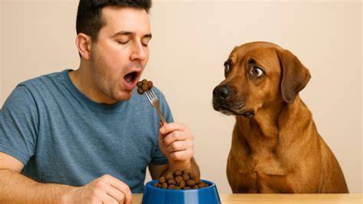 He began his dog food diet | Image: Unsplash