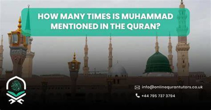 How many times did Muhammad Ali lose?