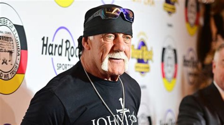 Hulk Hogan Hall Of Famer Cropped