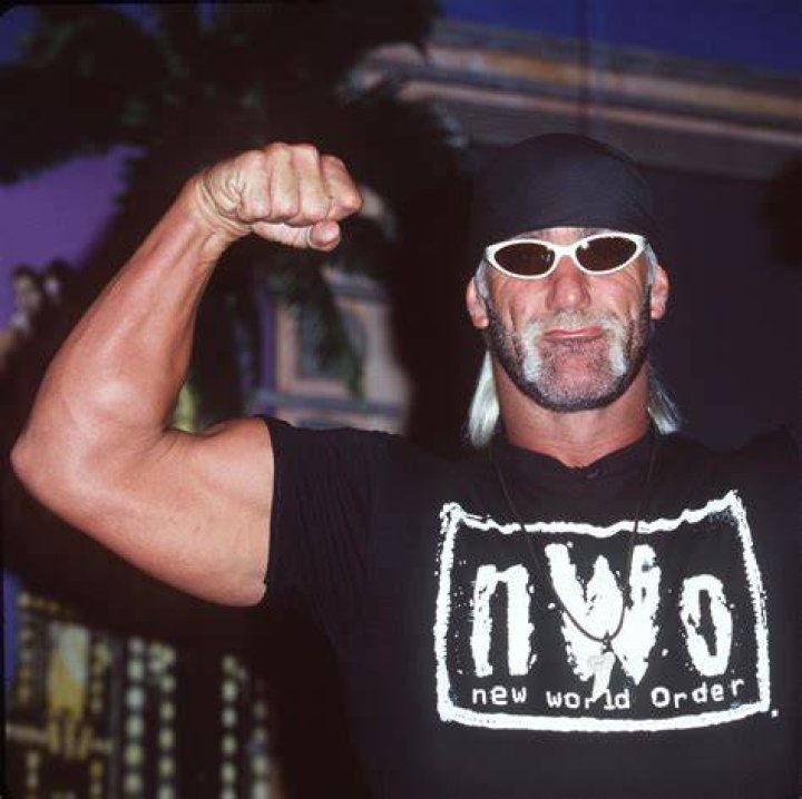  Hulk Hogan in the NWO