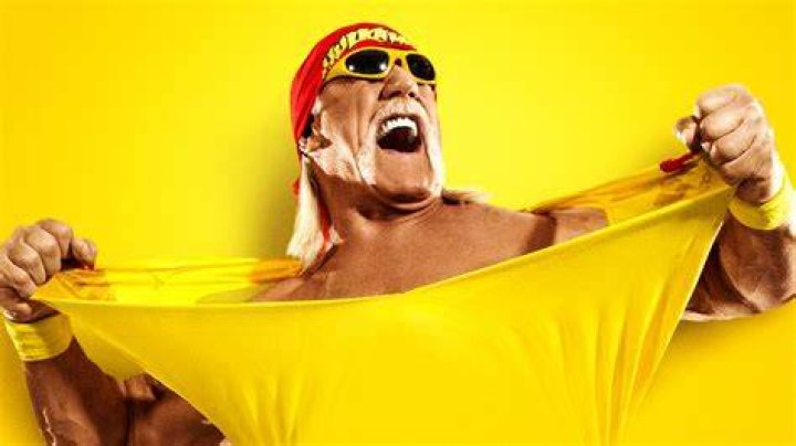 Hulk Hogan interview in Legends of Wrestling 2