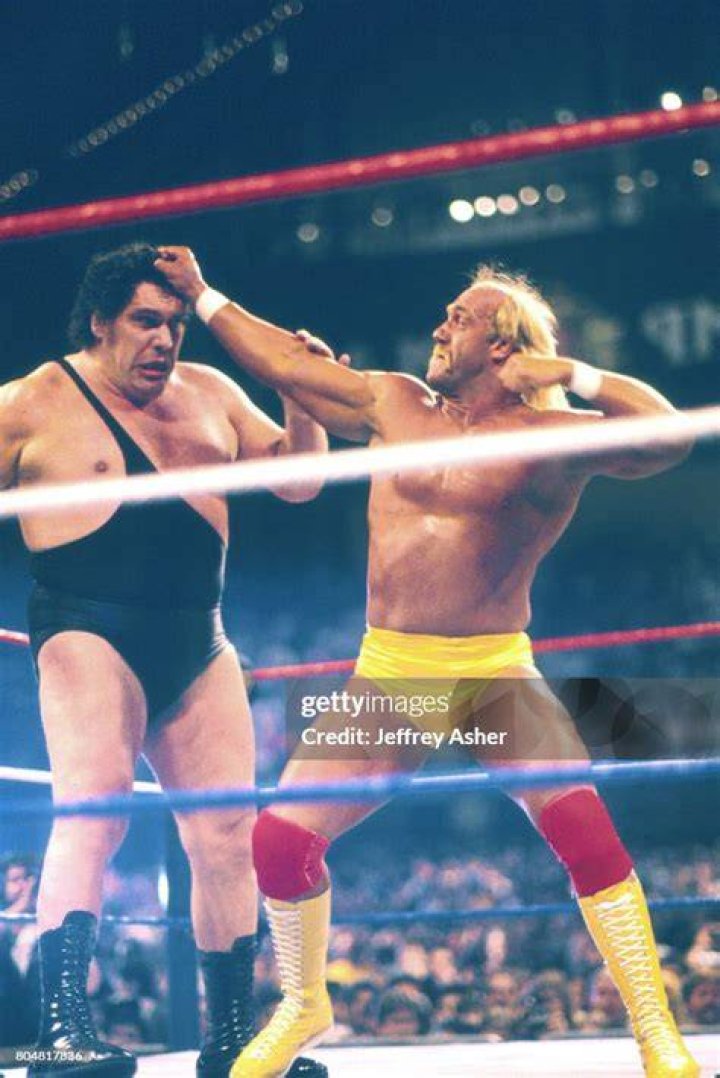 Hulk Hogan v The Giant Hog Wild 1996