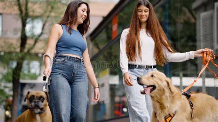 Image result for Women Dogs FRENCH KISSING Dogs, Kissing pranks, Pranks