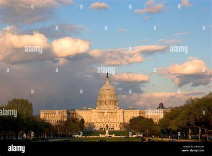 Internships in Washington D.C., United States
